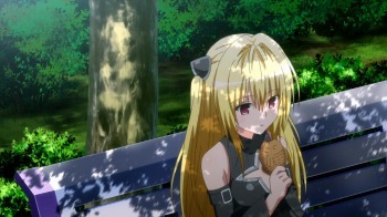 （C）矢吹健太朗・長谷見沙貴/集英社・とらぶるダークネス製作委員会