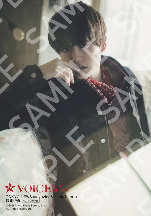 「TVガイドVOICE STARS vol.20」1,430円