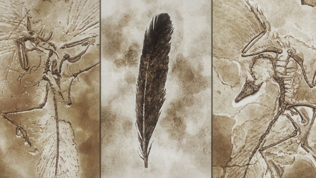 『ルパン三世 PART6』第10話「ダーウィンの鳥」先行場面カット　原作：モンキー・パンチ（C）TMS・NTV