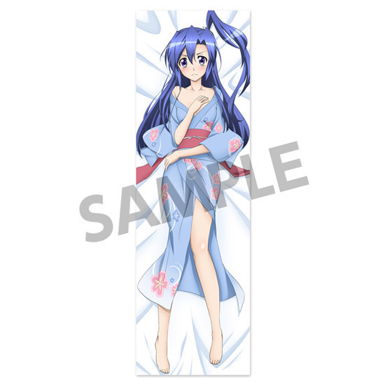 戦姫絶唱シンフォギアGX 風鳴翼 抱き枕カバー(C)Project シンフォギアＧＸ