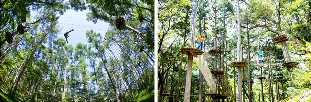 「フォレストアドベンチャー」 （C）Forest Adventure all rights reserved.