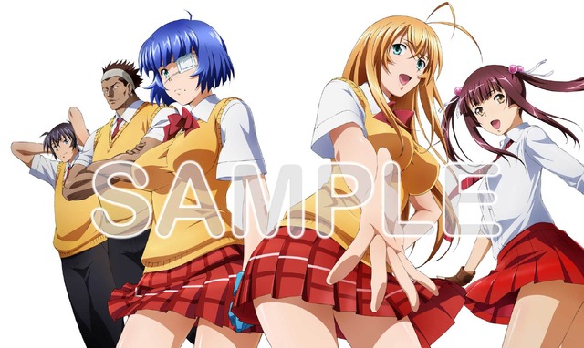 『真・一騎当千』Blu-ray＆DVD「キャラクターデザイン・宮澤努描き下ろしデジパックイラスト」（C）2021 塩崎雄二・少年画報社/真・一騎当千パートナーズ