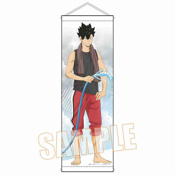 スリムタペストリー ハイキュー！！  プール掃除ver.[ベルハウス]《０９月予約》（C）古館春一/集英社・「ハイキュー！！」製作委員会・MBS