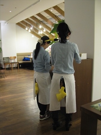 (C)2015 Pokemon. (C)1995-2015 Nintendo/Creatures Inc. /GAME FREAK inc.