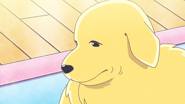 まめきちまめこニートの日常場面カット（C）まめきちまめこ／ニートの日常委員会