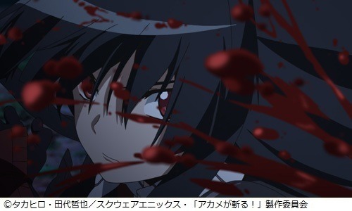 TVアニメ「アカメが斬る！」小林智樹監督インタビュー 前編 今だから話せる、アニメオリジナル展開の裏側とは？