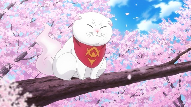 『あやかしトライアングル』最新PV（C）矢吹健太朗／集英社・あやかしトライアングル製作委員会