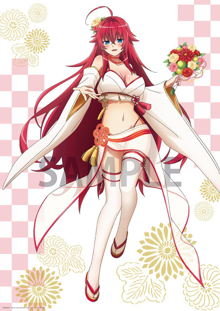 B2布ポスター　(C)石踏一榮・みやま零／株式会社KADOKAWA刊／ハイスクールＤ×Ｄ HERO製作委員会