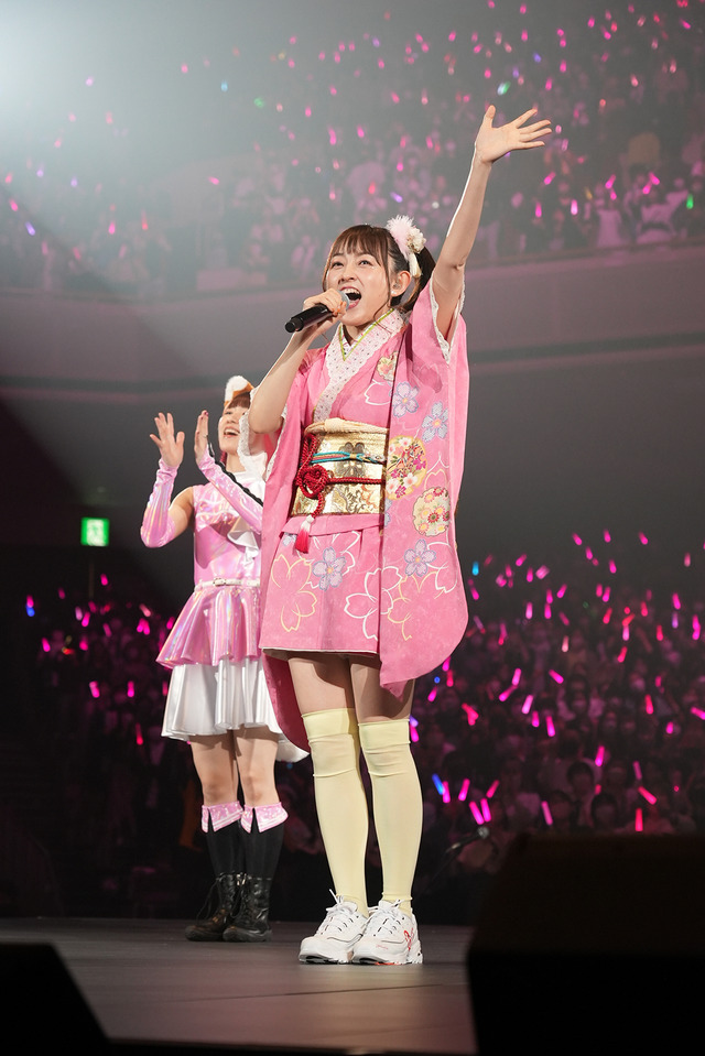 「銀魂後祭り 2023（仮）」（C）空知英秋／集英社･テレビ東京･電通･BNP･アニプレックス