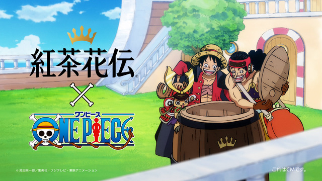 『ワンピース』×「紅茶花伝」コラボCM『紅茶花伝×ONE PIECE 目を輝かせる一味』篇（15 秒）（C）尾田栄一郎／集英社・フジテレビ・東映アニメーション