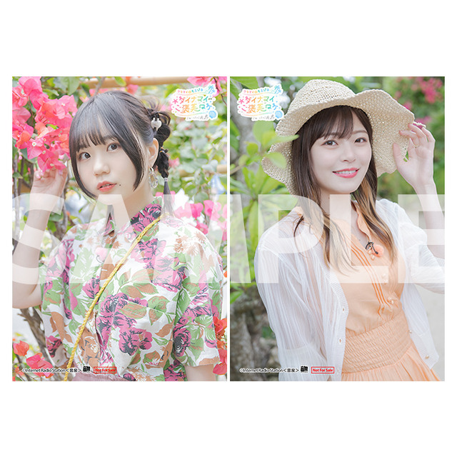 Blu-ray「コラマイ・もえぴな ～ダイナマイご褒美ロケ～in小浜島」ブロマイド