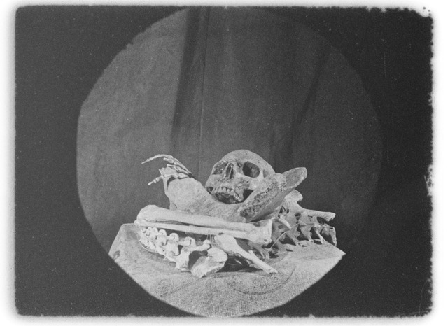 『骨』（C）Pista B & Diluvio, 2023