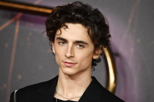 ティモシー・シャラメ Photo by Jeff Spicer/Jeff Spicer/Getty Images for Warner Bros