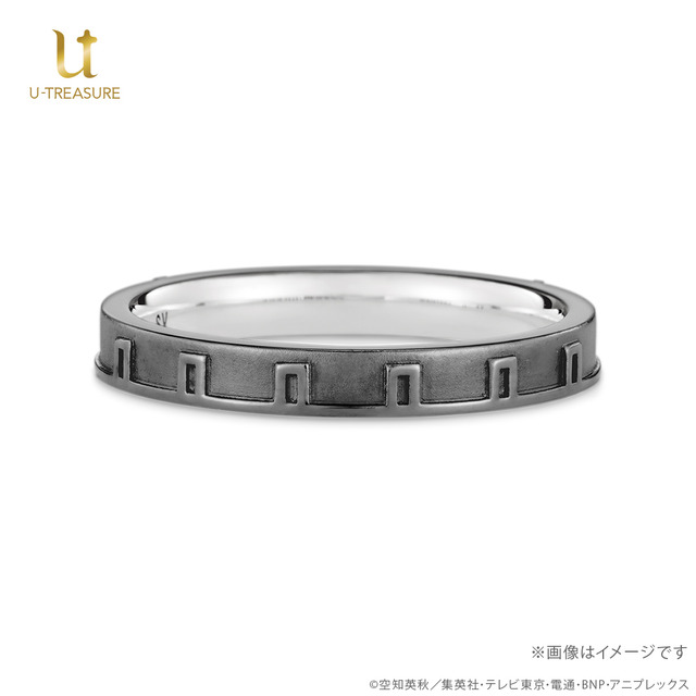 TVアニメ『銀魂』リング 近藤 勲 シルバー（ブラックコーティング）（C）空知英秋／集英社・テレビ東京・電通・BNP・アニプレックス