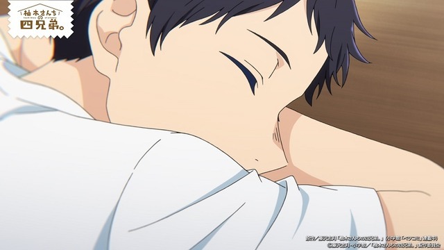 『柚木さんちの四兄弟。』第1話「柚木さんち、」先行場面カット（C）藤沢志月・小学館／「柚木さんちの四兄弟。」製作委員会