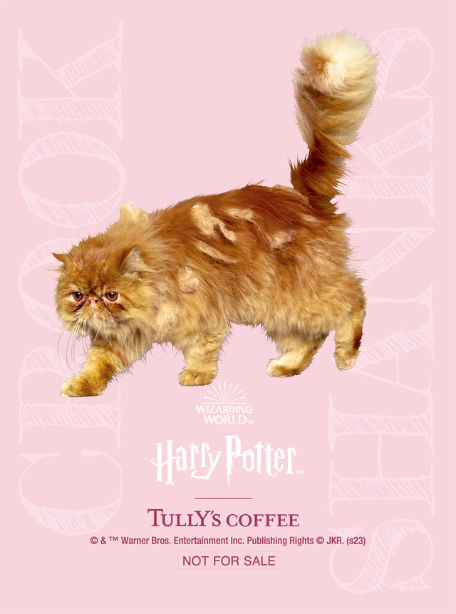 ステッカー週替わりプレゼント_クルックシャンクスWIZARDING WORLD and all related trademarks, characters, names, and indicia are （C） & TM Warner Bros. Entertainment Inc. Publishing Rights （C） JKR. (s23)