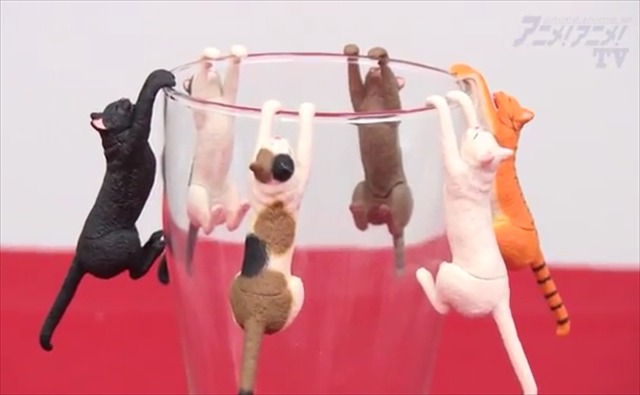 【A！A！TV】「奇譚クラブ」から「グソクムシのケース」などカプセルトイ紹介