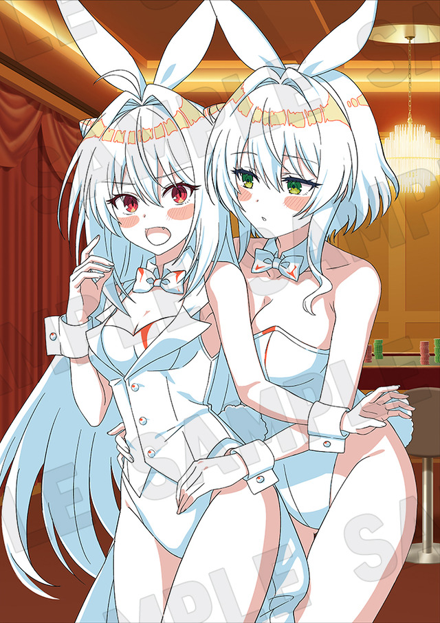 TVアニメ『ひきこまり吸血姫の悶々』ソフマップ/アニメガ Blu-ray全巻購入特典アニメ描き下ろしB2タペストリー＆アニメ描き下ろし全巻収納BOX（テラコマリ、ヴィルヘイズ）（C）小林湖底・SBクリエイティブ／ひきこまり製作委員会