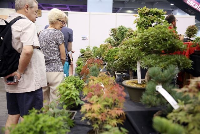 英国最大の日本文化イベント「HYPER JAPAN 2015」 7月にロンドンで開催