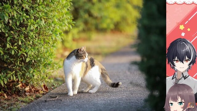 （C）2016 COVER Corp.