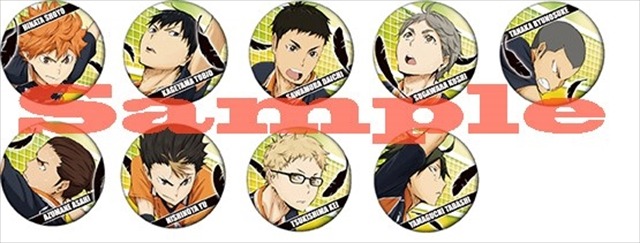 (C) 古舘春一／集英社・「ハイキュー!!」製作委員会・MBS