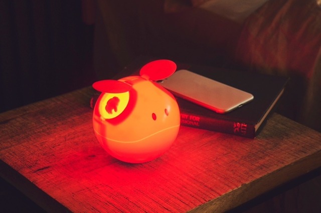 「機動戦士ガンダムSEED FREEDOM ハロライトBOOK」4,389円（税込）（C）創通・サンライズ