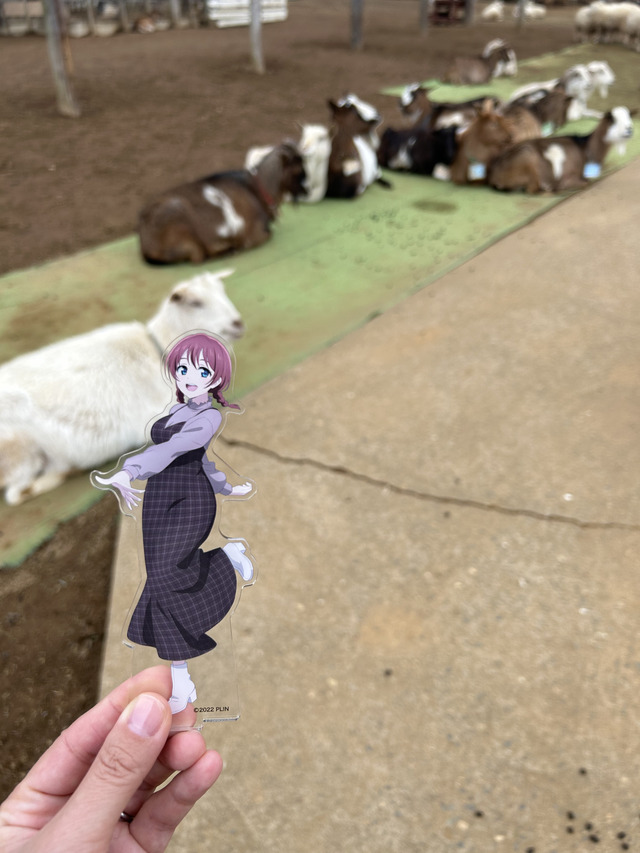 『ラブライブ！虹ヶ咲学園スクールアイドル同好会』×「レジャフェス」成田ゆめ牧場（C）2022 プロジェクトラブライブ！虹ヶ咲学園スクールアイドル同好会