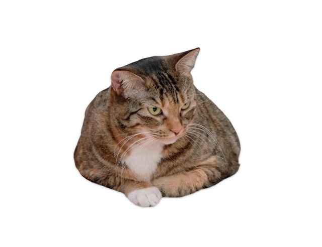 『ギャビーのドールハウス』フロイド（C）DreamWorks Animation LLC. All rights reserved.　