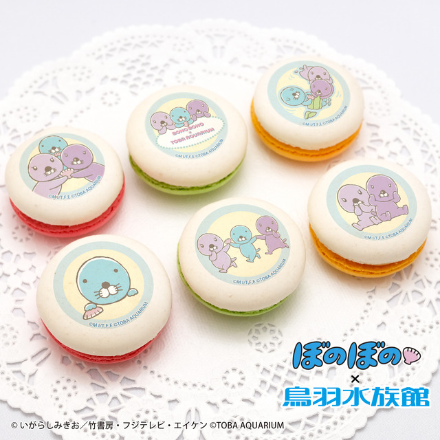 『ぼのぼの』ぼのぼの×鳥羽水族館　キラメイて☆ぼのぼのと海のお花ばたけ「コラボマカロン」（C）いがらしみきお／竹書房・フジテレビ・エイケン（C）TOBA AQUARIUM（C）SAOTOME GAKUEN