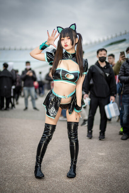 サイヴァーキャット／Miyu小咪（Instagram：kotori_0214）