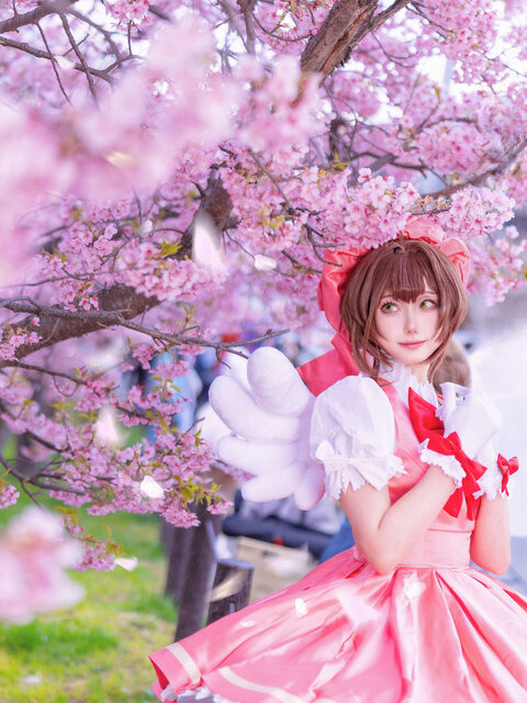 木之本桜「カードキャプターさくら」／神説kamise（X：@kamise847）、撮影：かせ（X：@xiashengcnwh）