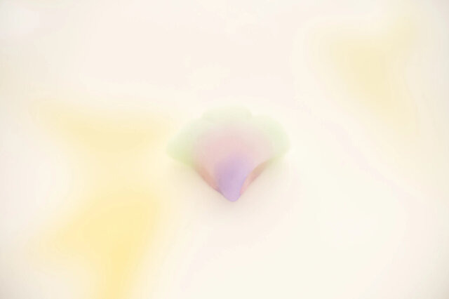 ピカチュウ、コイキング、シェイミを再現した和菓子が可愛すぎる！七條甘春堂から「ポケモン京菓子 春」が抽選販売受付中