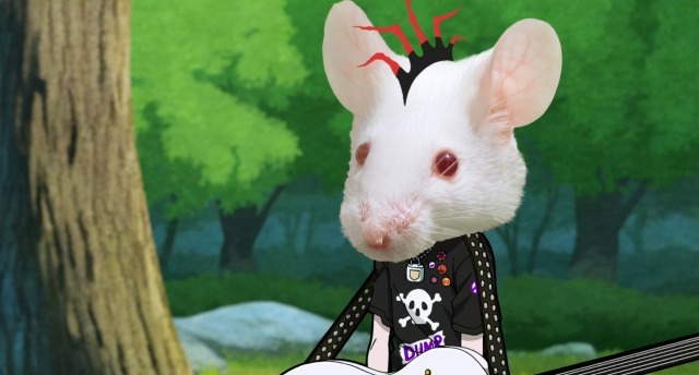 （C）SUNRISE/PONY CANYON