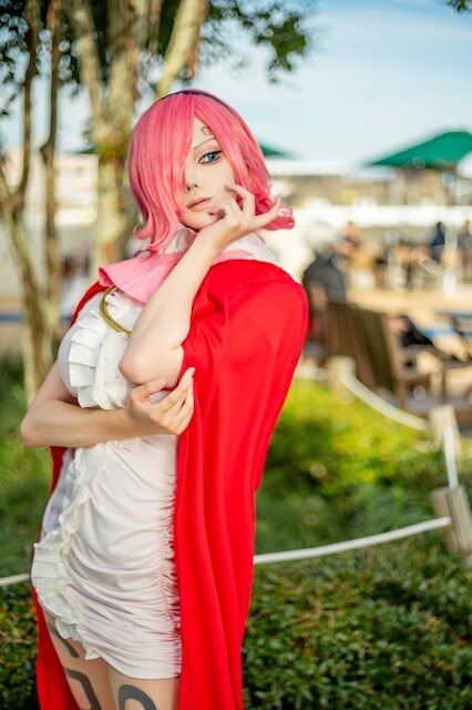 ヴィンスモーク・レイジュ「ONE PIECE」／レッツゴリラット（X：@god_go_ri_1412）