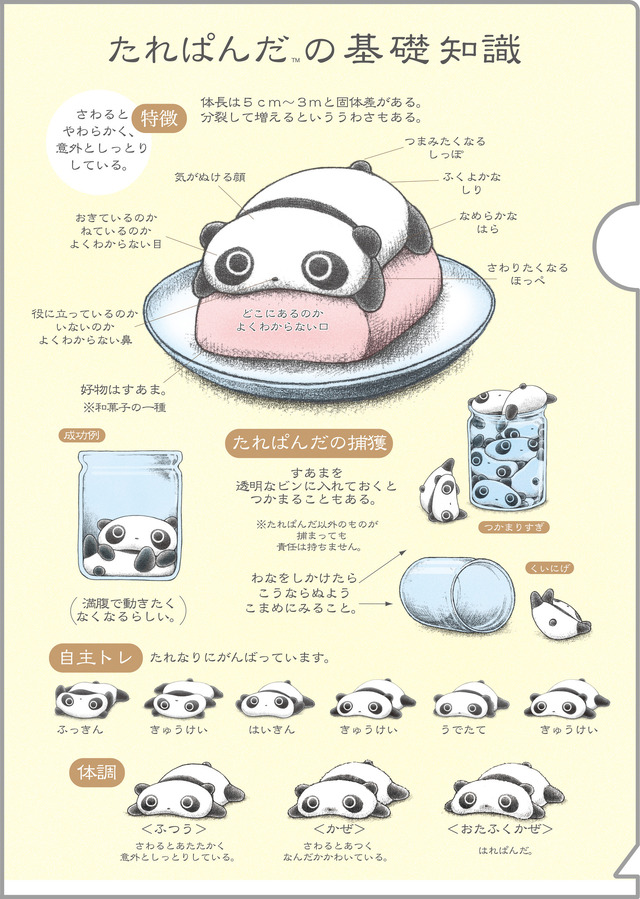 サンエックスキャラクターズ「クリアホルダーセット/たれぱんだ」（C）2024 SAN-X CO., LTD. ALL RIGHTS RESERVED.