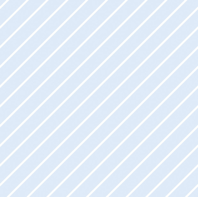 「すみっコぐらし」新商品 画像（C）2024 SAN-X CO., LTD. ALL RIGHTS RESERVED.