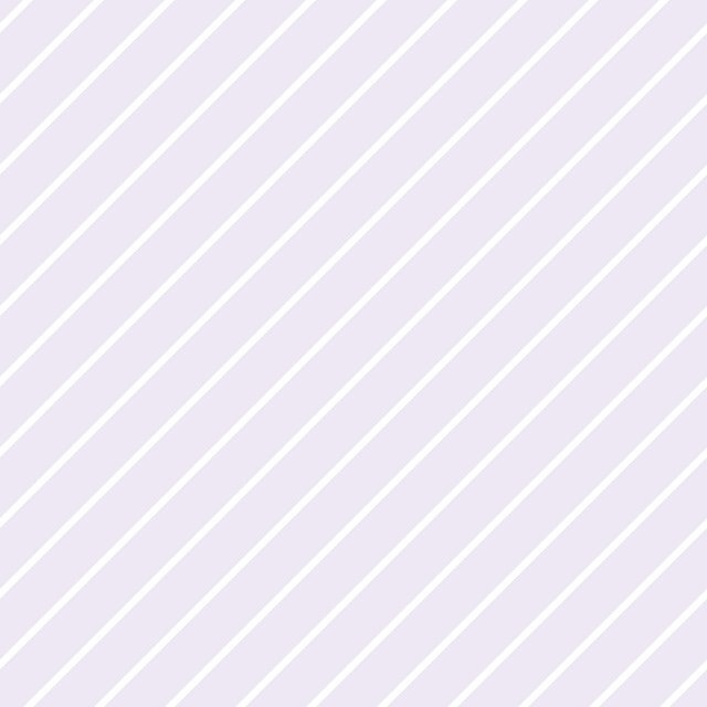 「すみっコぐらし」新商品 画像（C）2024 SAN-X CO., LTD. ALL RIGHTS RESERVED.