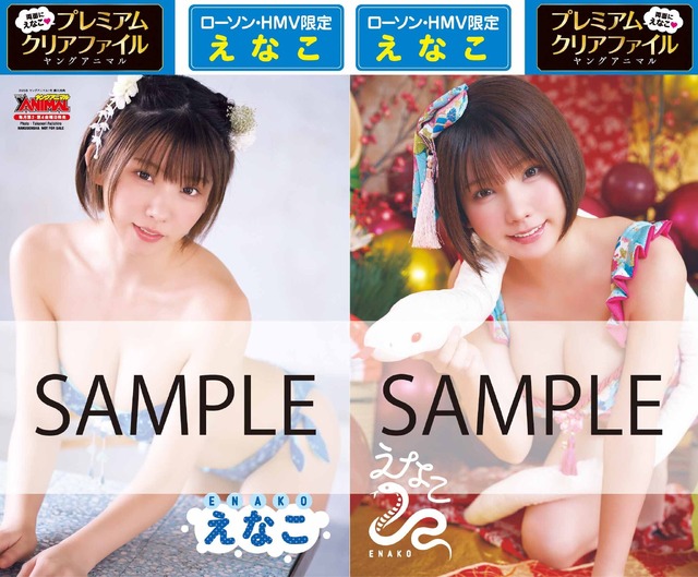 ローソン・HMV限定クリアファイル