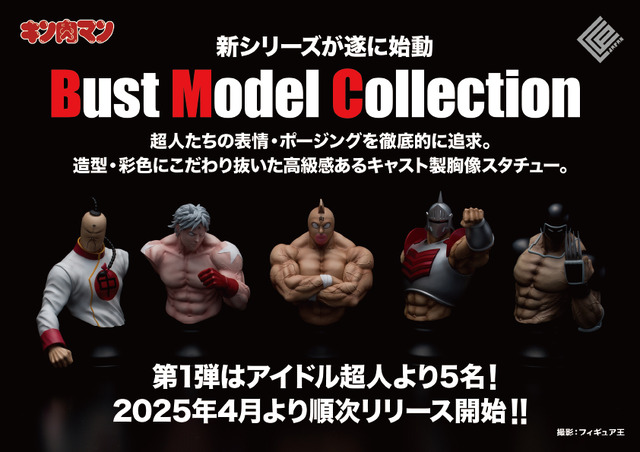 『Bust Model Collection』
