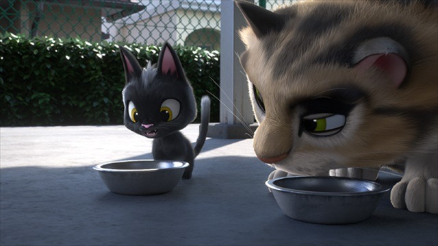 映画「ルドルフとイッパイアッテナ」特報映像公開 鈴木亮平と井上真央がノラ猫を演じる