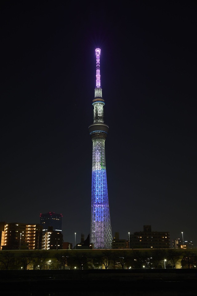 特別ライティング点灯毛利蘭