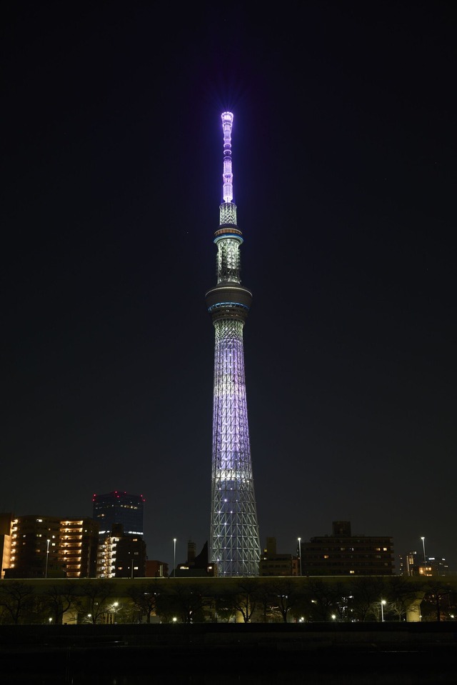 特別ライティング点灯灰原哀