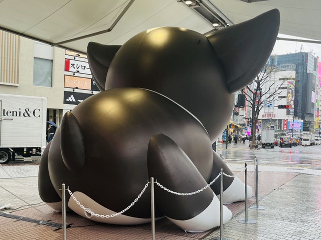 イギーバルーン