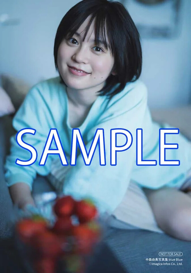 セブンネット特典ブロマイド