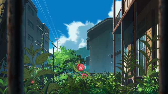 映画『ホウセンカ』場面写真