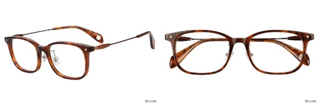 中野五月モデル