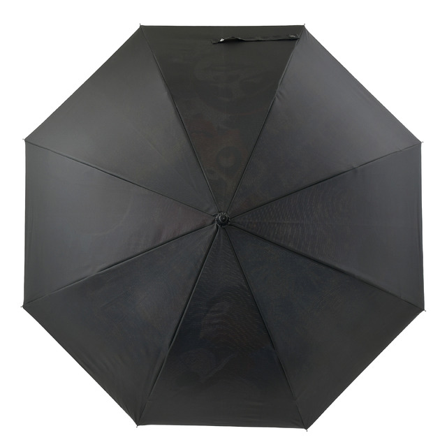 長傘 ジャンプ式＜リメンバー・ミー＞