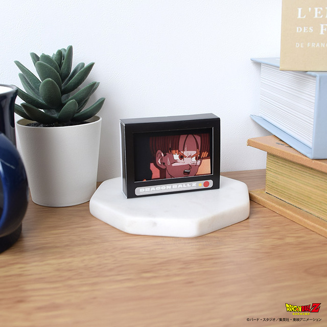 【DRAGON BALL Z】箱入りシール 全2種