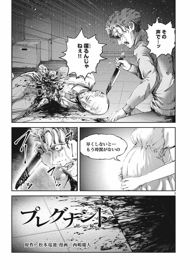 「プレグナント」松本 電池（原作）／西嶋 慶大（漫画）