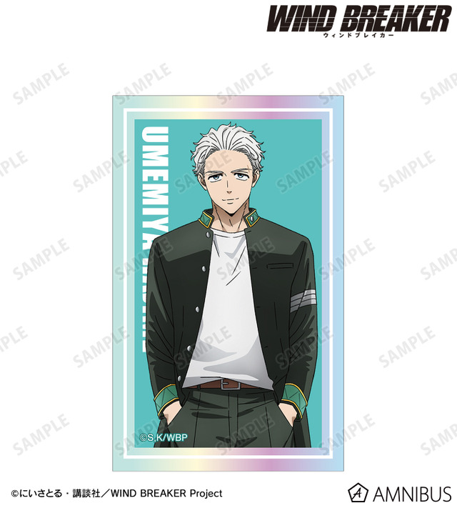 オーロラカードステッカー